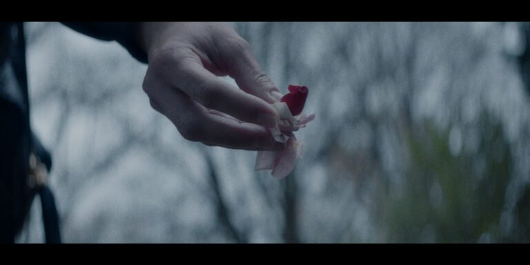Dig_Deeper__The_Disappearance_of_Birgit_Meier__Limited_Series__Episode_4__1879977__00_41_08_02__2468100_ergebnis